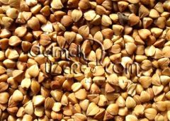 Karabuğday Greçka 1 Kg