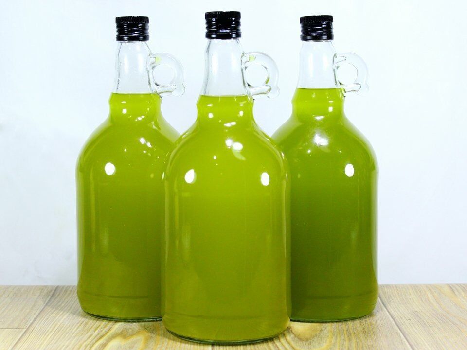 Naturel Sızma Zeytinyağı 1L Galon